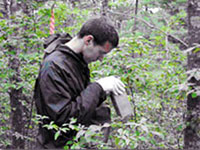 An Integrated Land Management employee carefully inspects soil from the woodlands of Camp Edwards