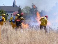 A group of fire professionals burning grassland areas. 