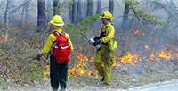 Firemen stand at roadside perimeter watching the low lying fire
