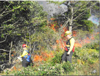 Two fire professionals begin the process of lighting the fires by walking in the burn area carrying canisters of fuel  that omit a small flame 