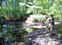 Two employees of the Natura Resources Office stand at the shoreline of a wetland located amongst the pine barren forest on Joint Base Cape Cod