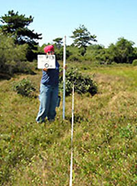 Contractor conducting a survey holding a large pole while standing in a field