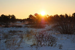The sun peaks over the horizon at early dawn over the pine barrens and sandy areas of Joint Base Cape Cod