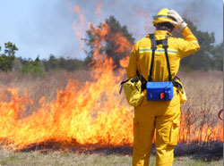 A controlled burn professional firefighter wearing a bright yellow flame retardent uniform stands holding the fire starter. 